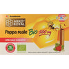 Arkoroyal Pappa Reale Bio 500 Mg 10 Flaconcini